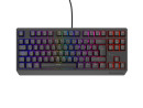 foto de TECLADO GAMING GENESIS THOR230 TKL ES USB RETROILUMINADO MECANICO NEGRO