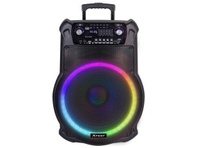 foto de ALTAVOZ KARAOKE TREVI XF 1600 KB 200W AMPLIF+AW+TROLLEY+MIC WIRELESS INCLUIDO