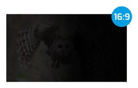 foto de FILTRO DE PRIVACIDAD NATEC OWL 27 16:9