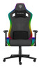 foto de SILLA GAMING GENESIS TRIT 660 RGB GRIS