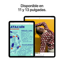 foto de IPAD APPLE iPAD AIR M3 11 128GB SPACE GREY