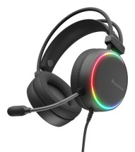 foto de AURICULARES GAMING GENESIS NEON 613 G2 2.0 RGB NEGRO