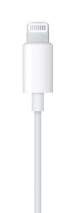 foto de EARPODSLIGHTNINGCONNECTOR-ZML