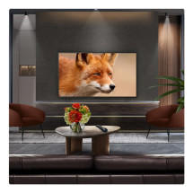 foto de TV LG OLED EVO AI C5 OLED55C54LA 55 UHD 4K SMART TV NEGRO