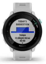 foto de SMARTWATCH GARMIN FORERUNNER 55 GPS 42MM WHITESTONE