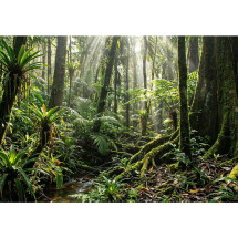 foto de PC AIO HP OMNISTUDIO 27-CV0012NS R5 40 16GB 1TB 23.8 FDOS BLANCO