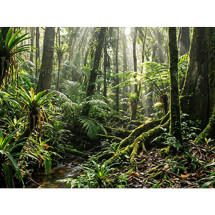 foto de PC AIO HP OMNISTUDIO 27-CV0012NS R5 40 16GB 1TB 23.8 FDOS BLANCO