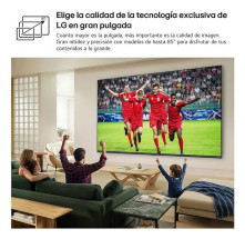 foto de TV LG 65QNED81B6A.AEU 65 QNED EVO MINILED PEANA CENTRAL WIFI HDMI X3